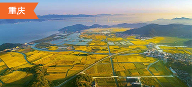 重庆土地整治项目造价软件