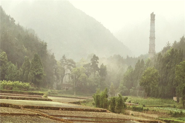 111911662528.jpg 111911662528.jpg