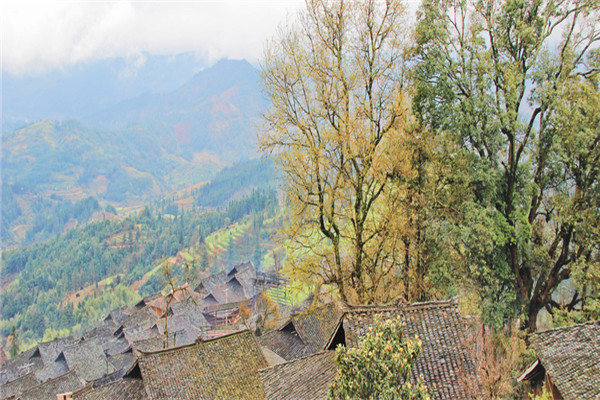 112056582528.jpg 112056582528.jpg