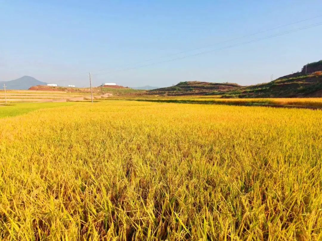 微信图片_20210715173842.jpg 微信图片_20210715173842.jpg