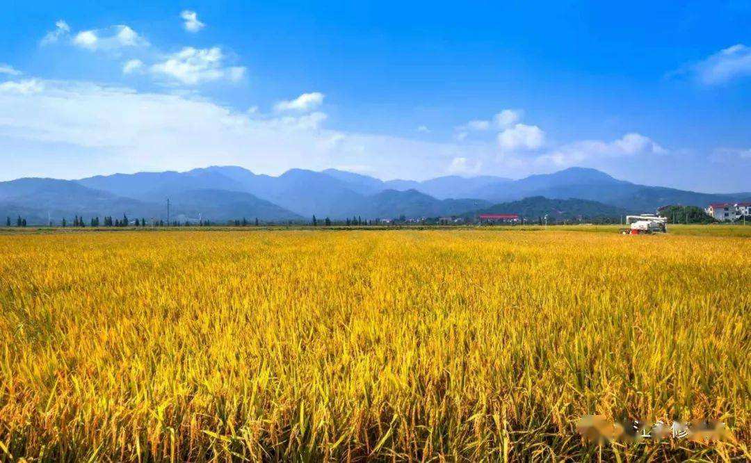 高标准农田建设 高标准农田建设