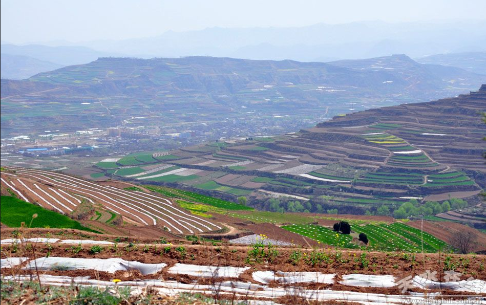 微信截图_20210813160455.png 微信截图_20210813160455.png