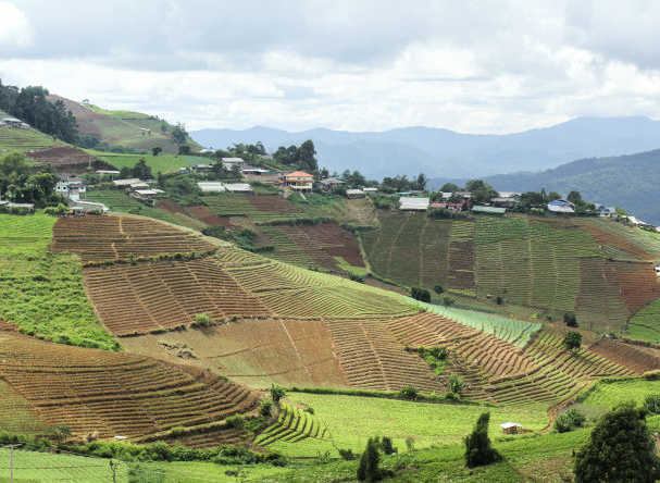土地整理,土地开发,土地一级开发,土地进行综合开发,轨道交通,轨道交通综合效益分析 土地整理,土地开发,土地一级开发,土地进行综合开发,轨道交通,轨道交通综合效益分析