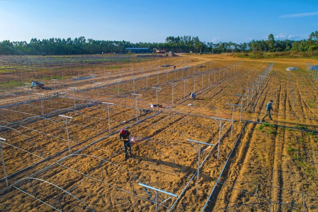 47fa8ee87f6b4bf58d7e64840448b022.jpeg 47fa8ee87f6b4bf58d7e64840448b022.jpeg